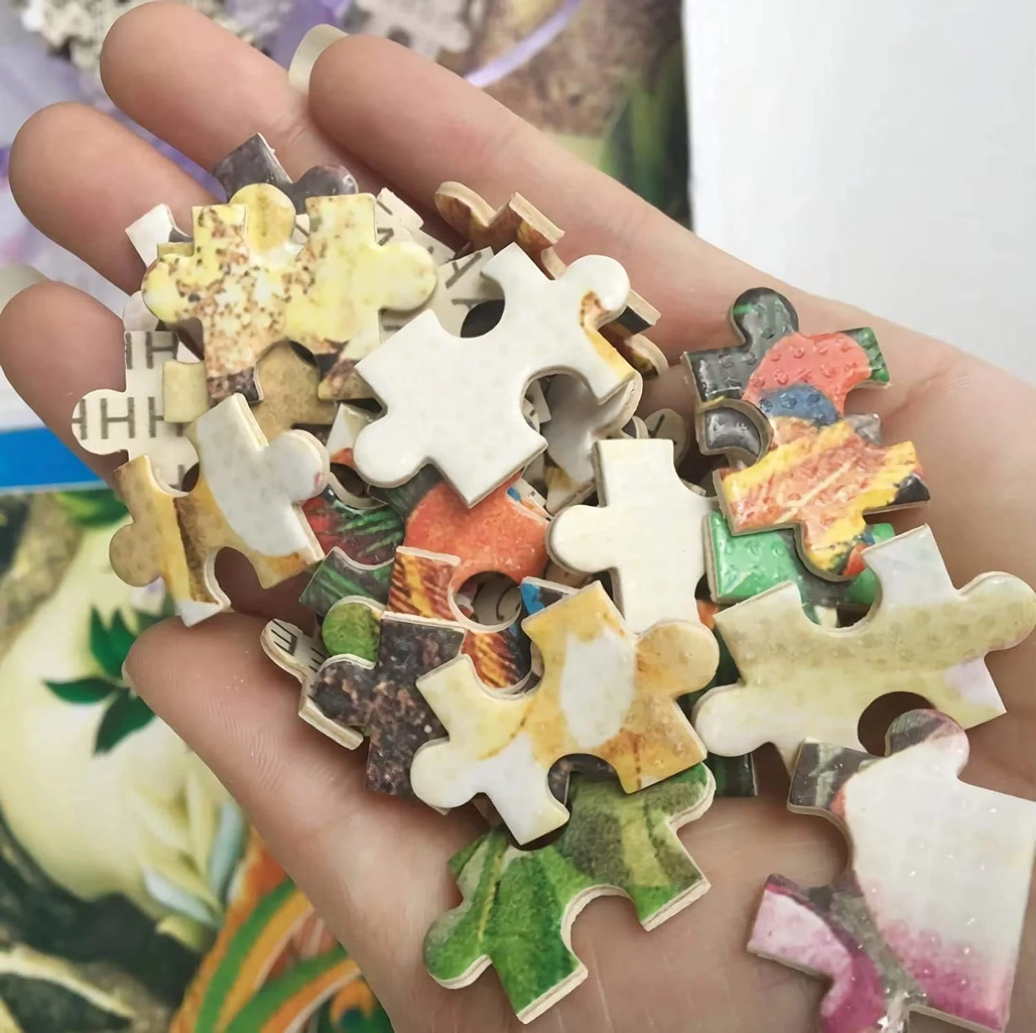 500-2000 Pieces Jigsaw Puzzle  - Kids Heaven Education 评论和价格